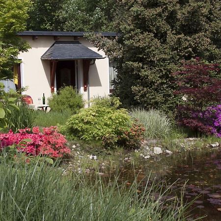 Ferienhaus "Am Waldsaum" Apartamento Estância Termal de Gohrisch Exterior foto