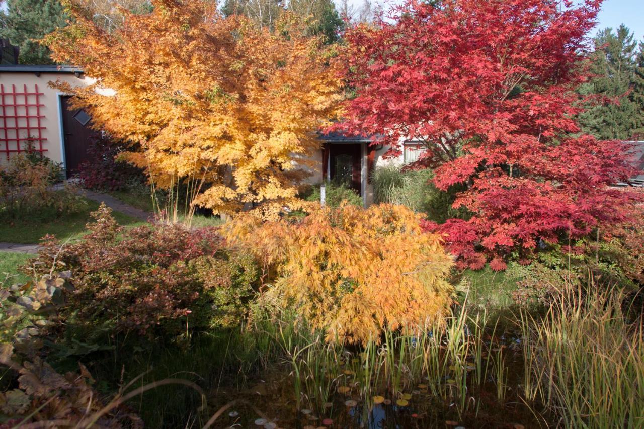 Ferienhaus "Am Waldsaum" Apartamento Estância Termal de Gohrisch Exterior foto