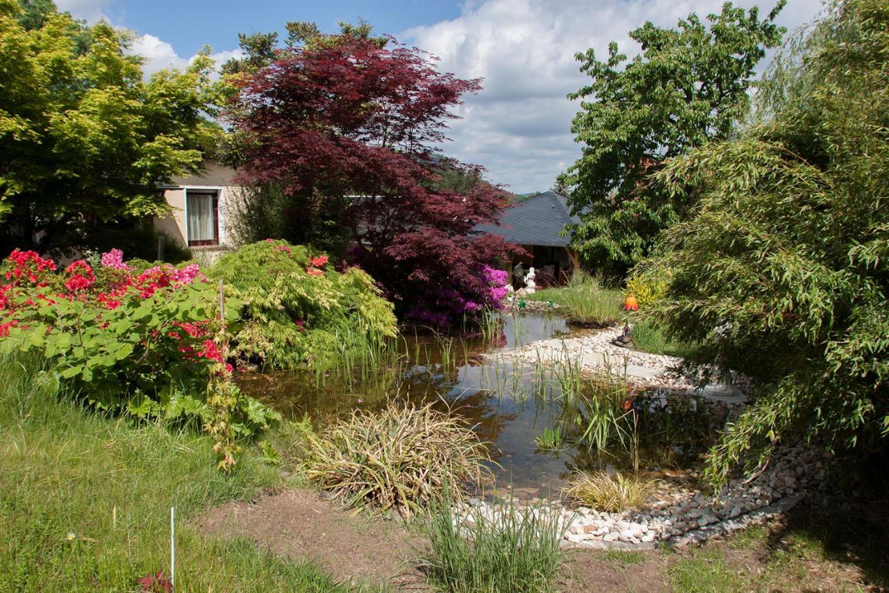 Ferienhaus "Am Waldsaum" Apartamento Estância Termal de Gohrisch Exterior foto