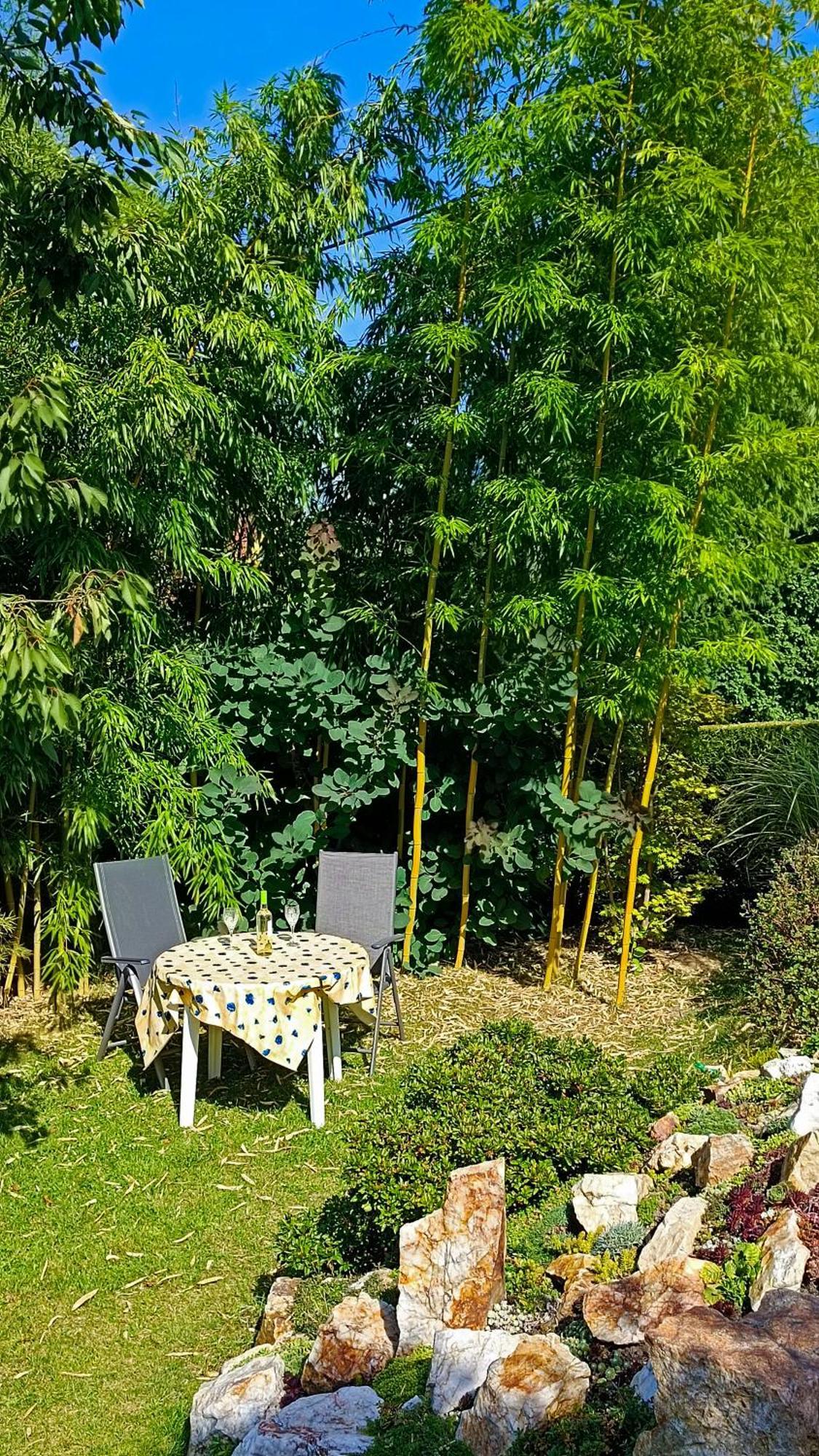 Ferienhaus "Am Waldsaum" Apartamento Estância Termal de Gohrisch Exterior foto