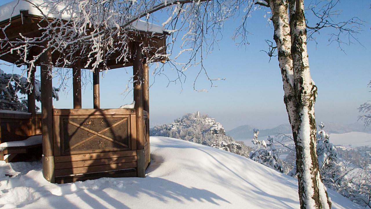 Ferienhaus "Am Waldsaum" Apartamento Estância Termal de Gohrisch Exterior foto